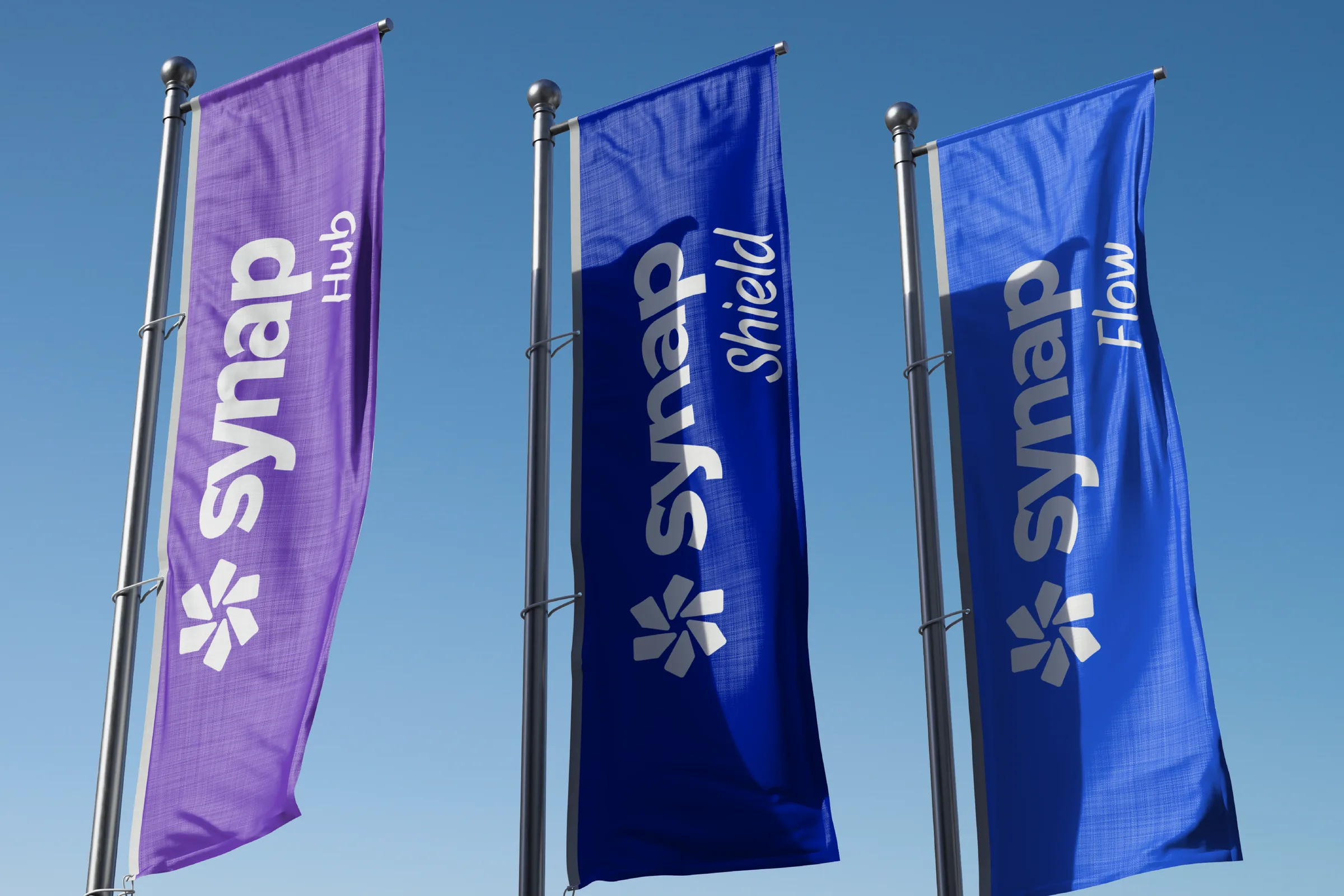 Synap